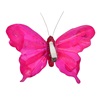 Διακοσμητικά Κουρτίνας Πεταλούδες Ροζ Φούξια 10cm - 6 τμχ.