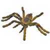 Παιχνίδι Αληθοφανής Αράχνη 5x8.5 cm