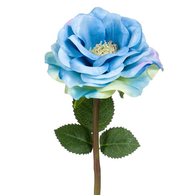 Λουλούδι Διακοσμητικό Ζίννια Μπλε Μωβ 37 cm