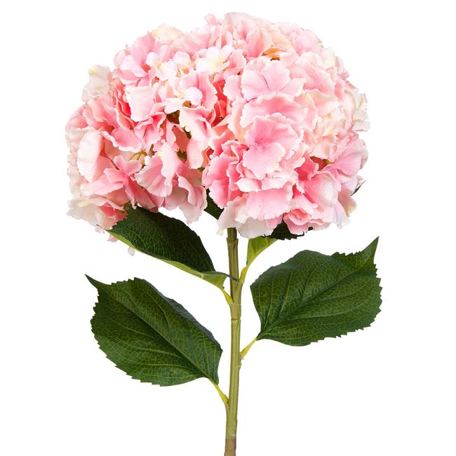 Λουλούδι Διακοσμητικό Ορτανσία Ροζ 90 cm