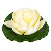 Λουλούδι Επιπλέον Νούφαρο Λευκό με Θήκη Ρεσώ 20 cm