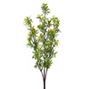 Κλαδί Διακοσμητικό Πράσινο Κίτρινα Ανθάκια 55 cm