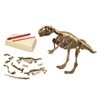 Σετ Ανασκαφής "Ανακάλυψε Το Απολίθωμα Δεινοσαύρου"