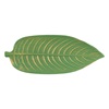 Πιατέλα Ποτ Πουρί Ξύλινο Τροπικό Φύλλο Πράσινο Brushed 45x18 cm