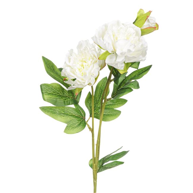 Λουλούδι Διακοσμητικό Λευκή Φρέζια 64 cm
