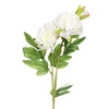 Λουλούδι Διακοσμητικό Λευκή Φρέζια 64cm