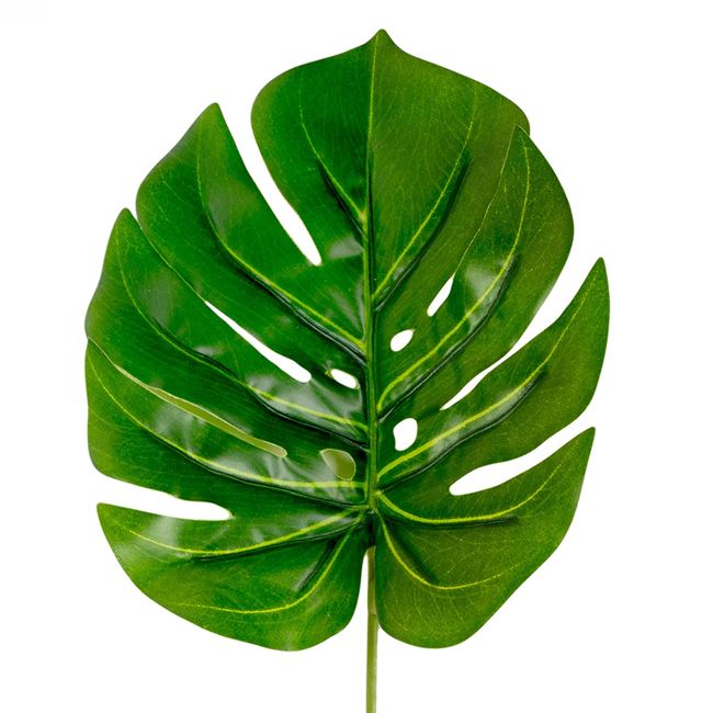 Κλαδί Διακοσμητικό Πλατύ Πράσινο Φύλλο 35cm