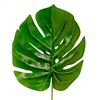 Κλαδί Διακοσμητικό Πλατύ Πράσινο Φύλλο 35cm