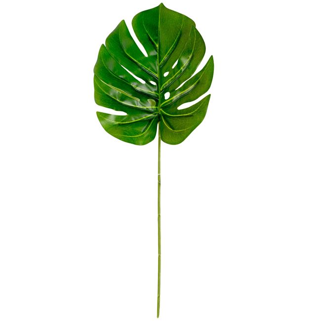 Κλαδί Διακοσμητικό Πλατύ Πράσινο 35 cm