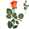 Λουλούδι Διακοσμητικό Τριαντάφυλλο Πορτοκαλί 60 cm